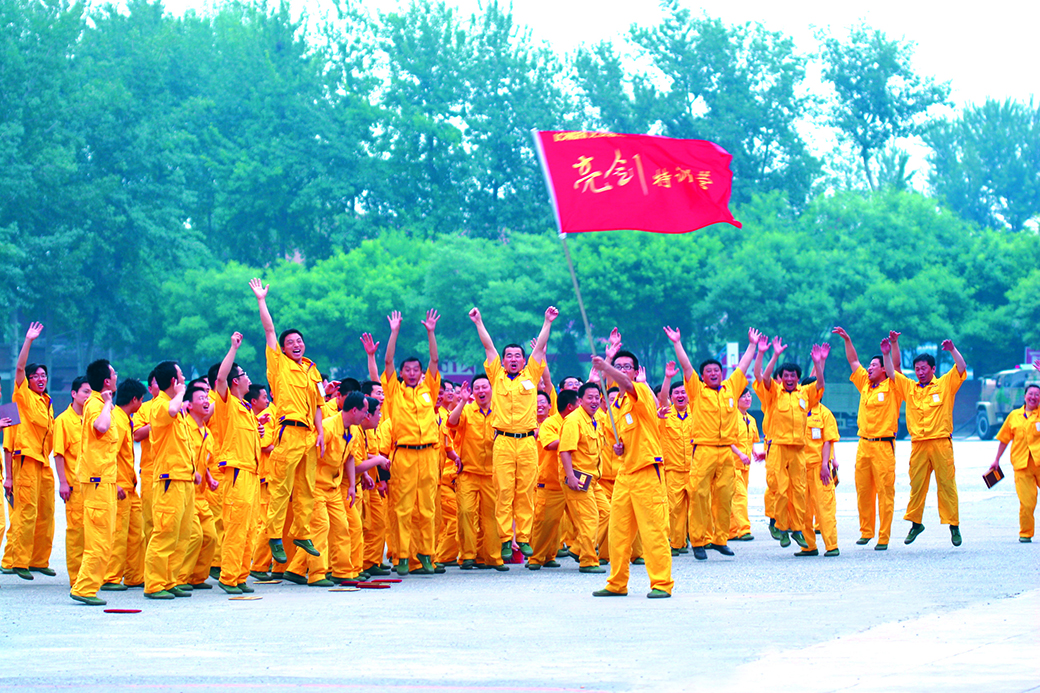 龍發(fā)裝飾的社會(huì)理想，都在通過什么樣的方式踐行？